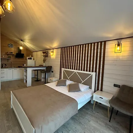Zarichna House Pansiyon Slavske