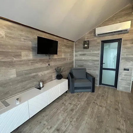 Zarichna House *